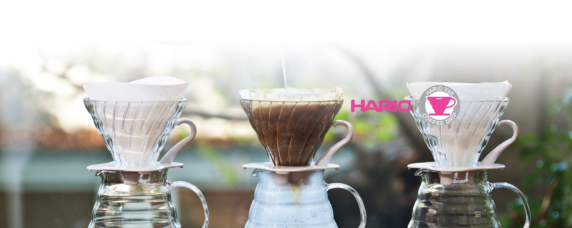 hario-d3